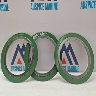 Optimet4”300316L/GRAASMEGasket-LOTOF3PCS