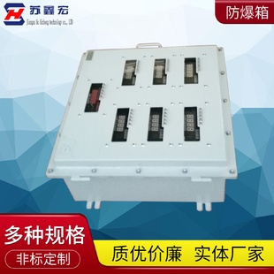 防爆配电箱成套不锈钢电源仪表照明控制箱厂家批发动力电气仪表箱