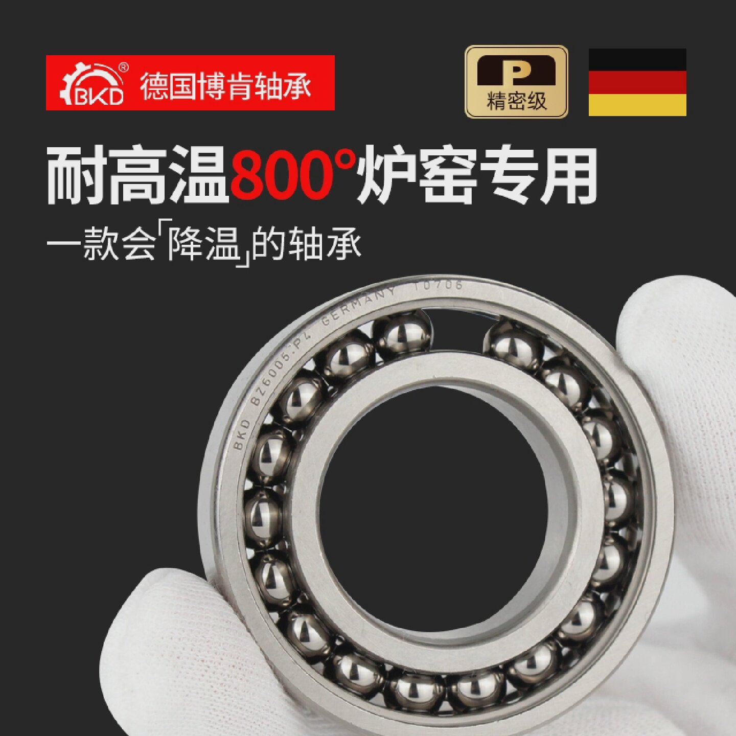 德国BKD进口高温轴承BZ6317 BZSY6317ZZ/P5