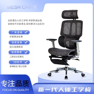 人体工学椅电脑椅办公椅久坐透气电竞椅靠背椅子书房家用座椅新款