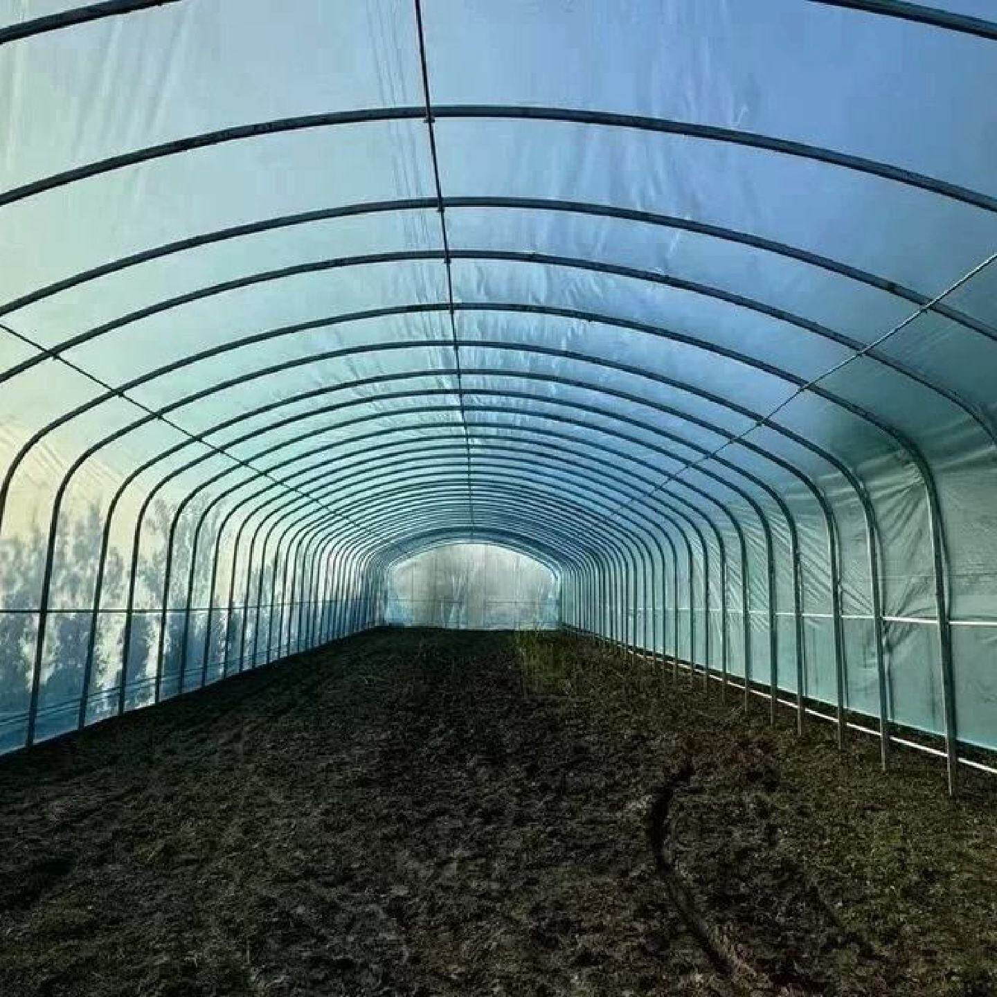 蔬菜大棚骨架钢管全套椭圆管温室花苗木农业种植养鸡养殖卷膜定制