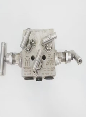 WhiteySS-M5NBF8-G歧管阀6000psi