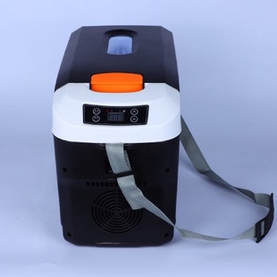 小冰箱饮料鲜果饭菜牛奶110V冷藏迷你冰箱 安南车载冰箱肩带便携式