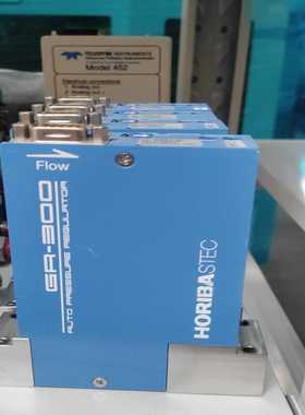 HORIBAGR-312F气体流量控制器，支持He气体，流--议价商品