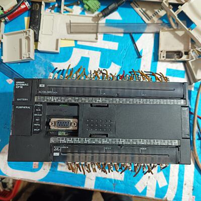 【议价】CP1E-N60DR-A，实物图，，功适用700