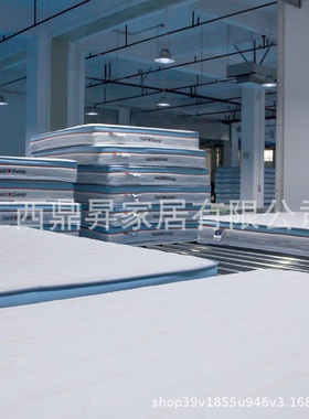 Douyin Same Spot Direct Supply Blue Memory Foam Box Mattress