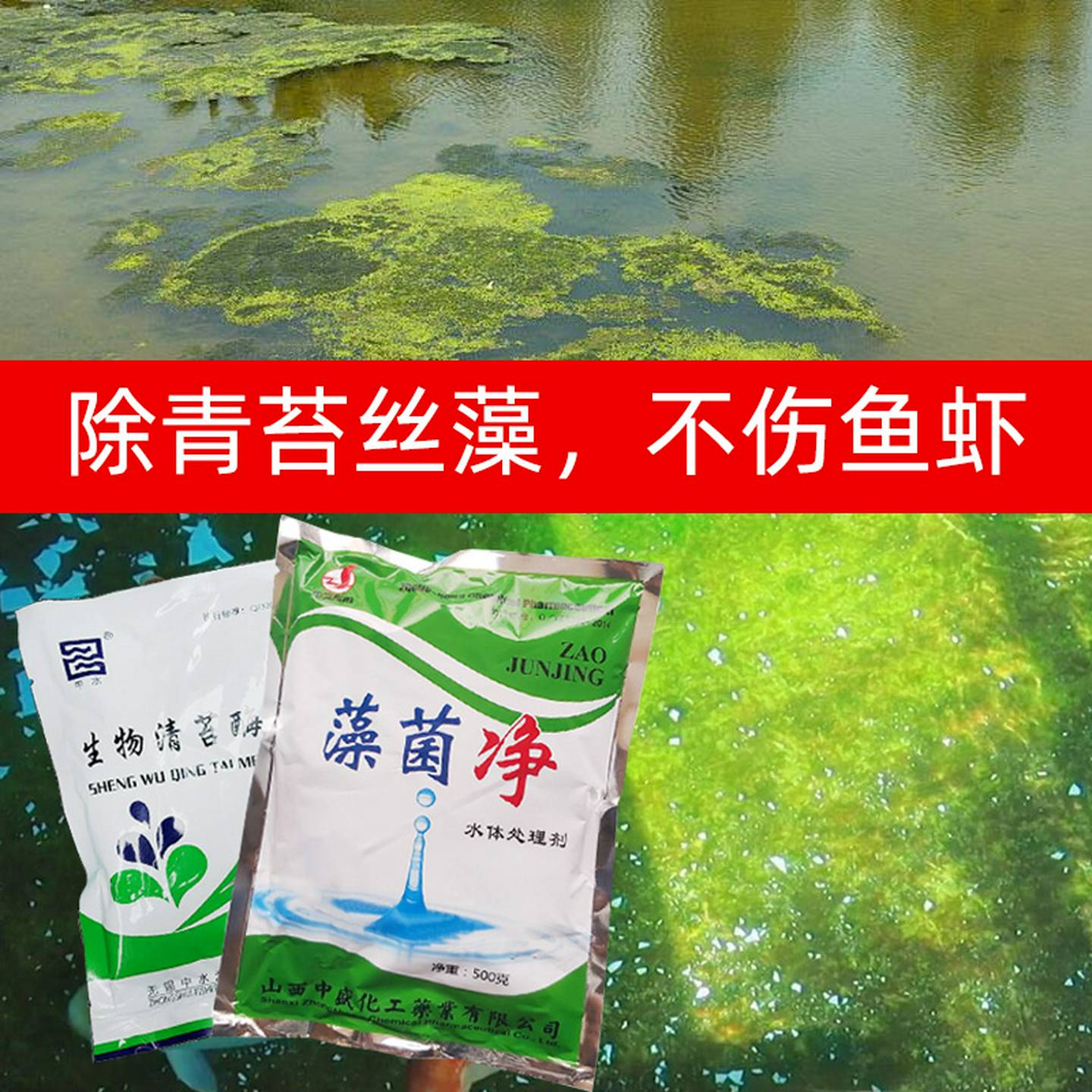 池塘除藻去苔剂除水绵鱼池除藻剂丝藻克星青苔净分解酶处理绿水