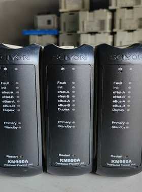 南京科远KM950A（地坛设备）