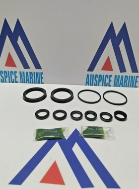 AuroraGulletorCylinder172-0028SealKit