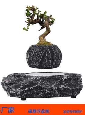 Maglev Explosive Potted Plant Home Desktop Aerial Flower Pot