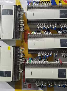 PLCCAM4-60T10-E，充新，外壳完整不少件