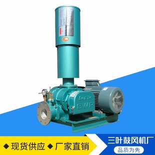 100三叶罗茨鼓风机污水处理一体化回转式 SWR 鼓风机罗茨鼓风机