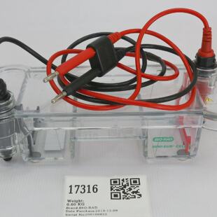 17316 BIORAD HORIZONTAL ELECTROPHORESIS SYSTEM MINISUB CELL