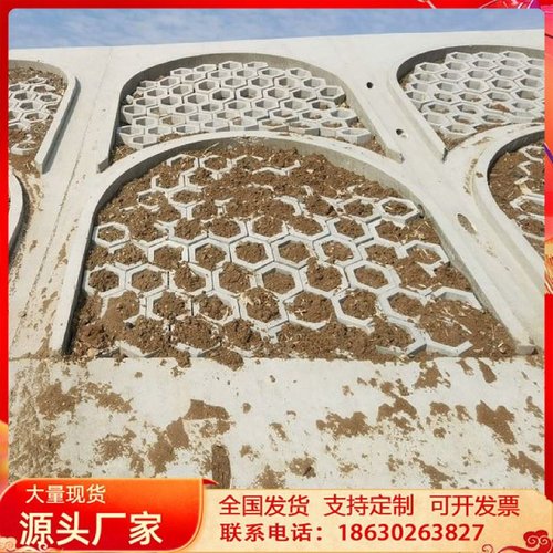 速干瓷砖空鼓专用胶起翘灌浆神器修复注射渗透灌注瓷砖修补专用剂