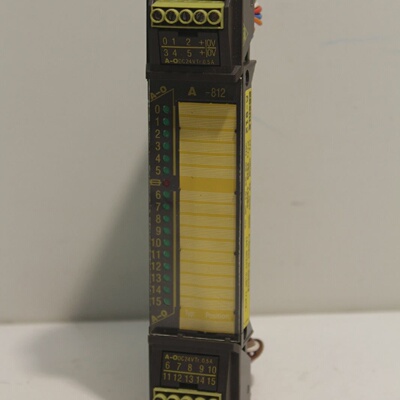 Eberle A812 AO Module