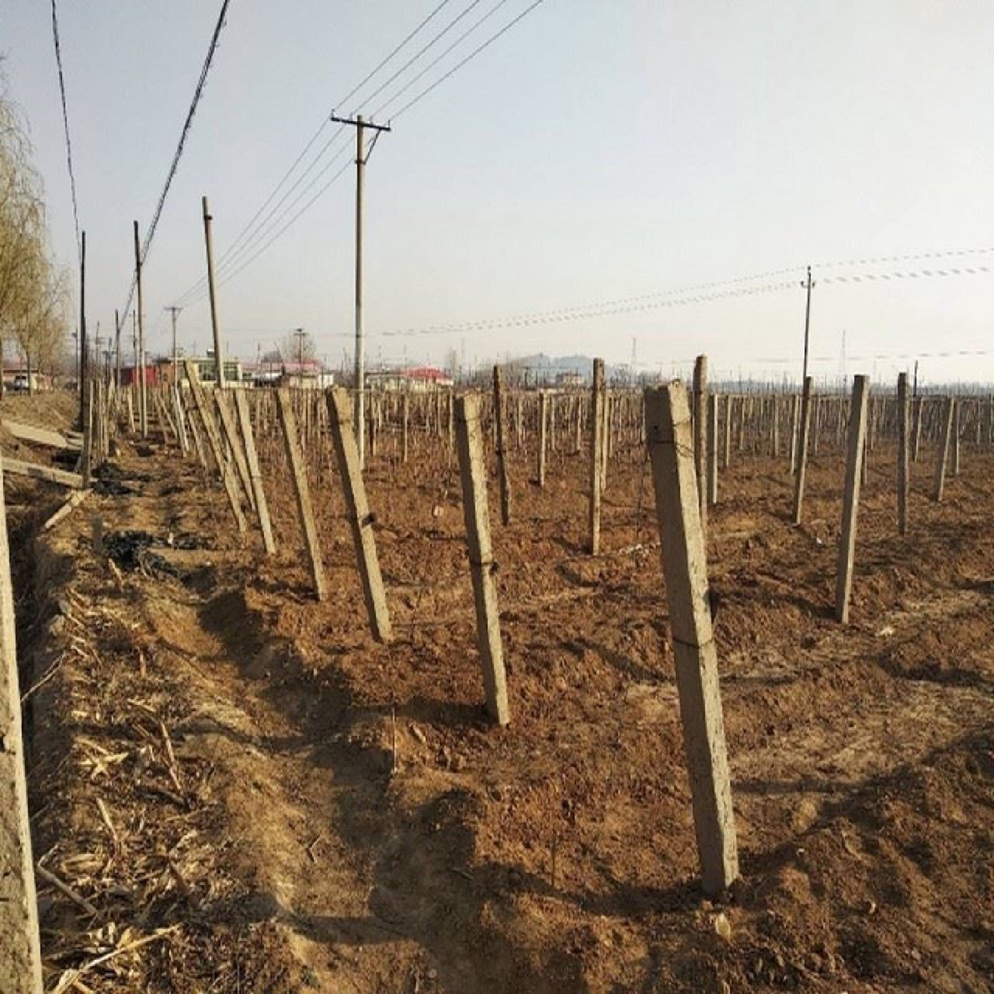 水泥柱子围栏水泥杆水泥桩立柱大棚栏杆猕猴桃2米2.5米方形葡萄架,基础建材,基础材料,淘宝优惠券,粉丝福利购,淘宝优惠卷