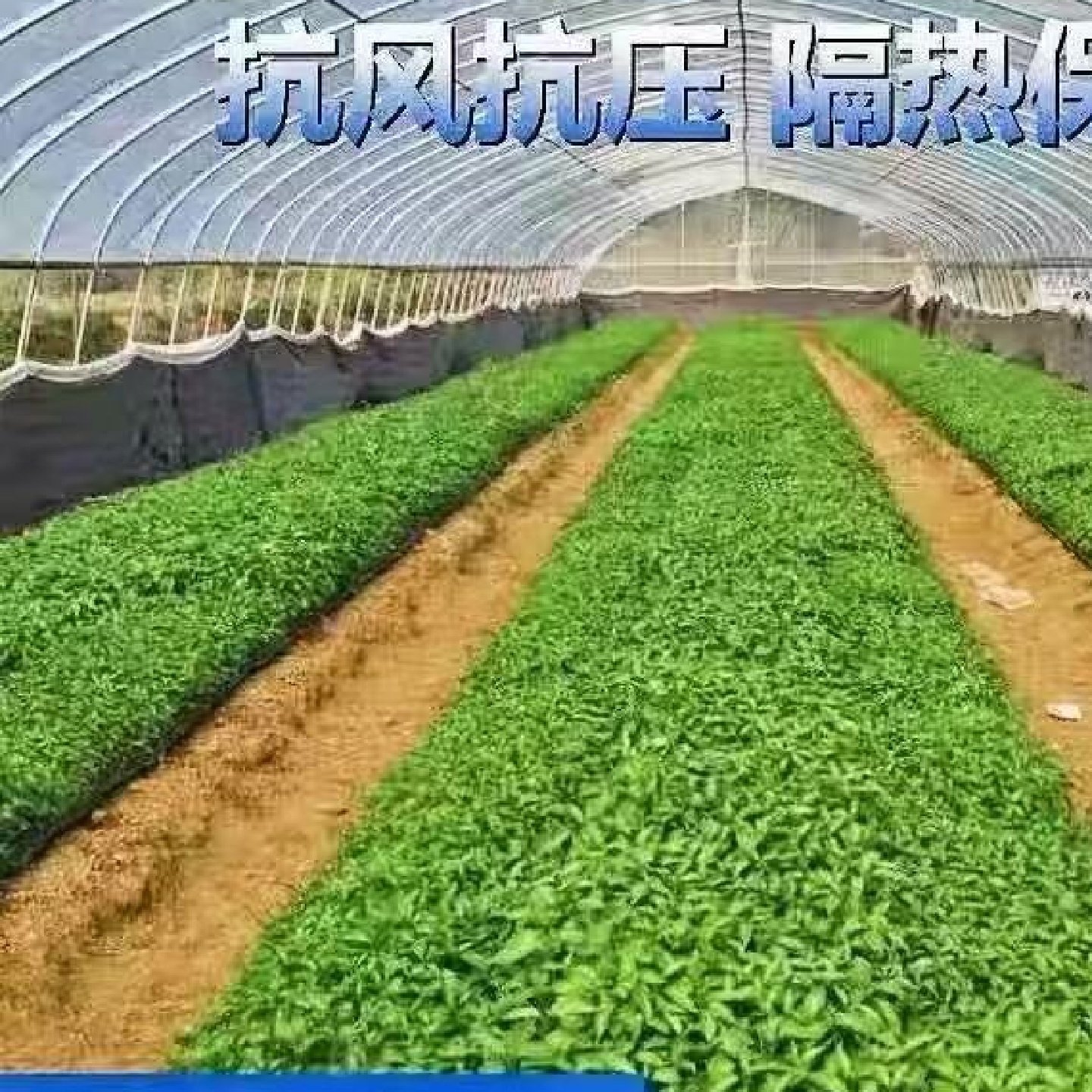 大棚钢管骨架温室大棚蔬菜大棚农业种植钢架热镀锌钢管种植棚全套