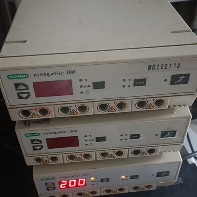 【询价】bio - rad伯乐PowerPac 300 电泳电源
