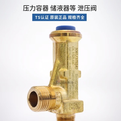 CASTEL安全泄压阀3061/2TS/3TS/4TS/3060/34C/45C240/280/300/420