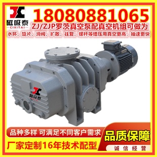 150罗茨真空泵高真空机组配前级泵2.2KW机械增压泵 福州ZJP