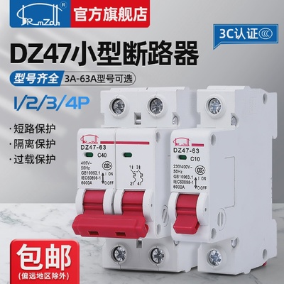 DZ47631P2P3P4P小型断路器32A63A家用空气开关漏电保护器