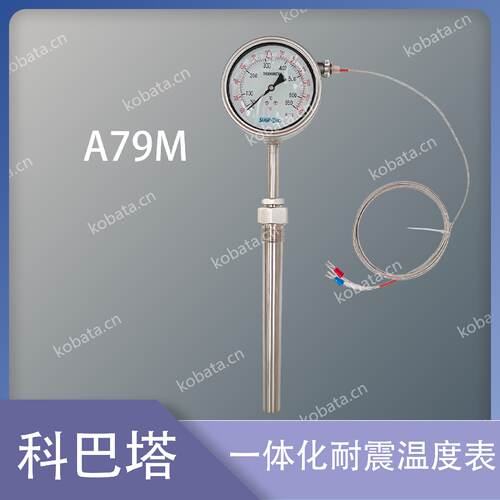 寻A79M一体化温度计温度表组合式温度感测器50650组合热电偶