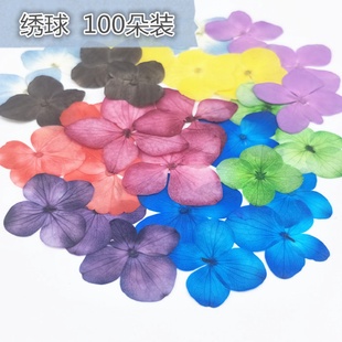 绣球真花干花押花压花画植物标本滴胶干花手机壳
