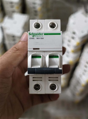 法国进口2P IC60L 2P MA16A开关-议价