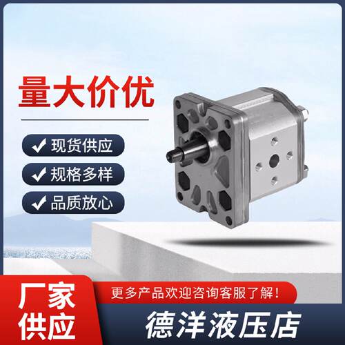 寻意大利DUPLOMATIC迪普马齿轮泵GP20279R97F20NGP10034R97F20N