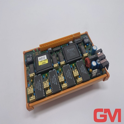 PlacaBeckhoffM2110ControlWeidmllerCajaRS100PROFIL80