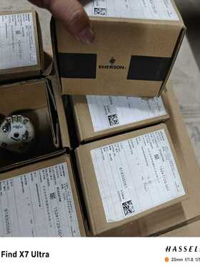 温度变送器，型号248HANAN0NSA1Q4，共拍前询价