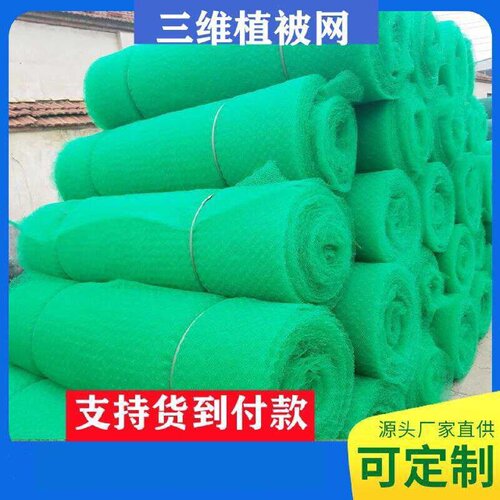 三维植被网园林绿化固土护坡土工网垫边坡植草网三维加筋固土网