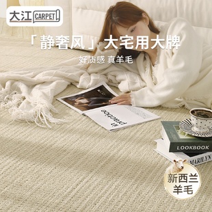 新西兰羊毛地毯客厅简约纯色轻奢高级卧室床边沙发家用耐脏易打理
