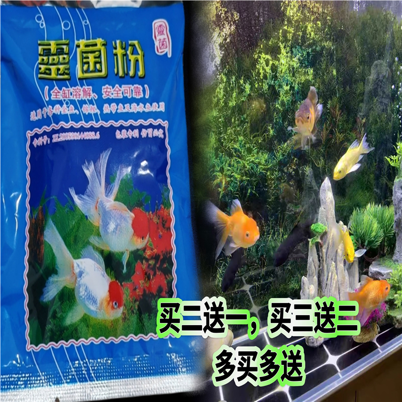 灵菌粉净化水质金鱼锦鲤净水剂鱼缸白点白毛消毒鱼池鱼池水族