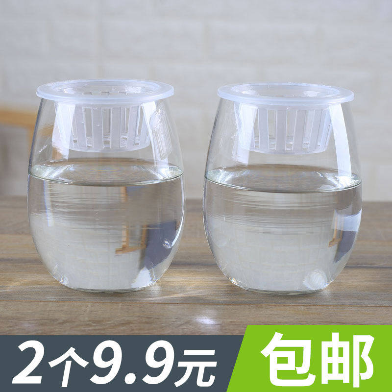 2个9.9元简约透明玻璃花瓶水培植物绿萝花瓶铜钱草花盆桌面插