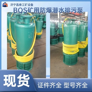煤矿用防爆排污排沙潜水泵MA认证BQS100 18.5kw矿用防爆潜水泵