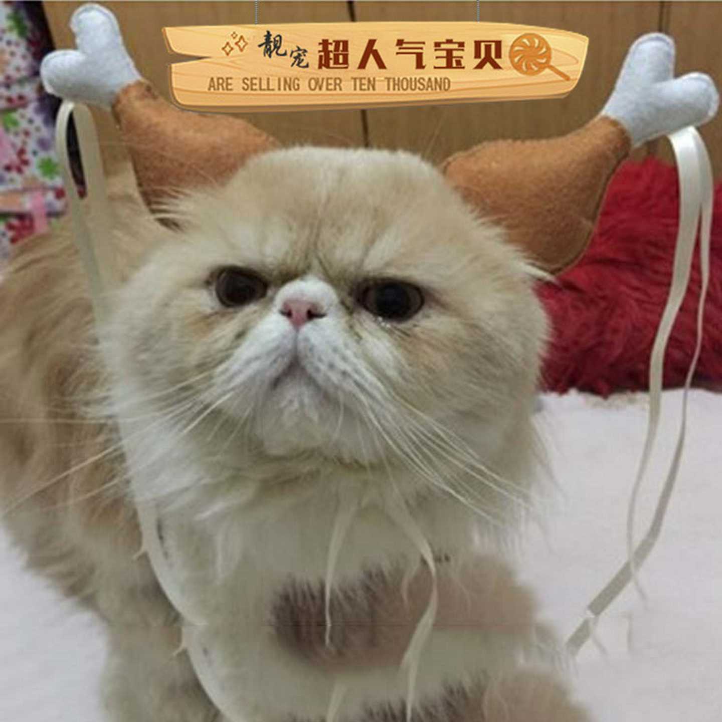 批发小龙女姑姑同款鸡腿发箍婚礼聚会搞笑道具宠物鸡腿猫狗头饰