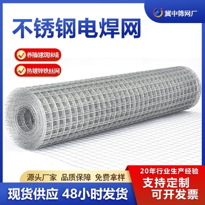 钢结构岩棉网不锈钢电焊网建筑用钢丝镀锌电焊网格片烟道网铁丝