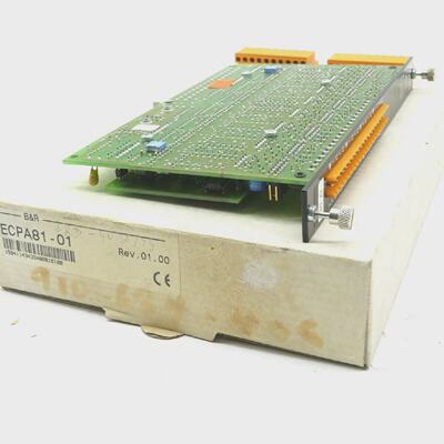 NEW BR ECPA8101 OUTPUT MODULE REV. 01.00 ECPA8101