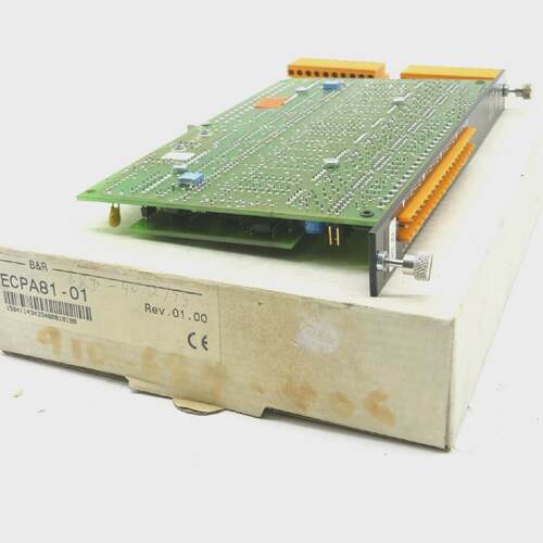 NEW BR ECPA8101 OUTPUT MODULE REV. 01.00 ECPA8101