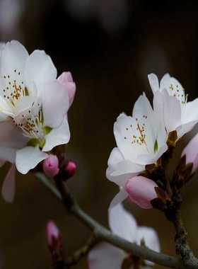 东方驱动器ARLD12A-S，拆机现货，实物拍摄，成色见图，一议价