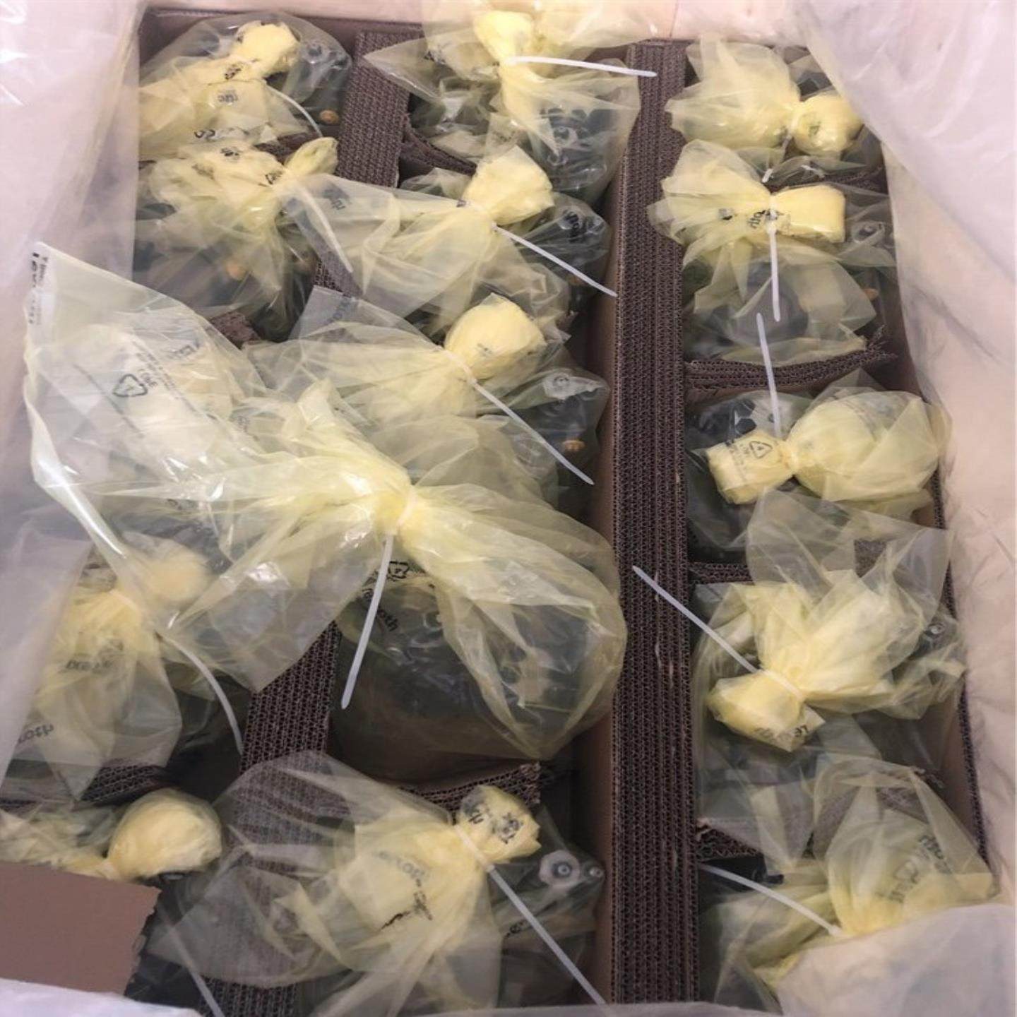 力士乐R902453681 AA10VS010DR/52R-（佳毅工控）