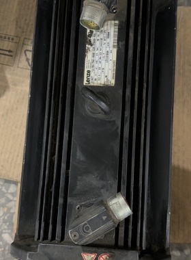 伦茨电机17N17RS0B0A24RST5S00NR-议价