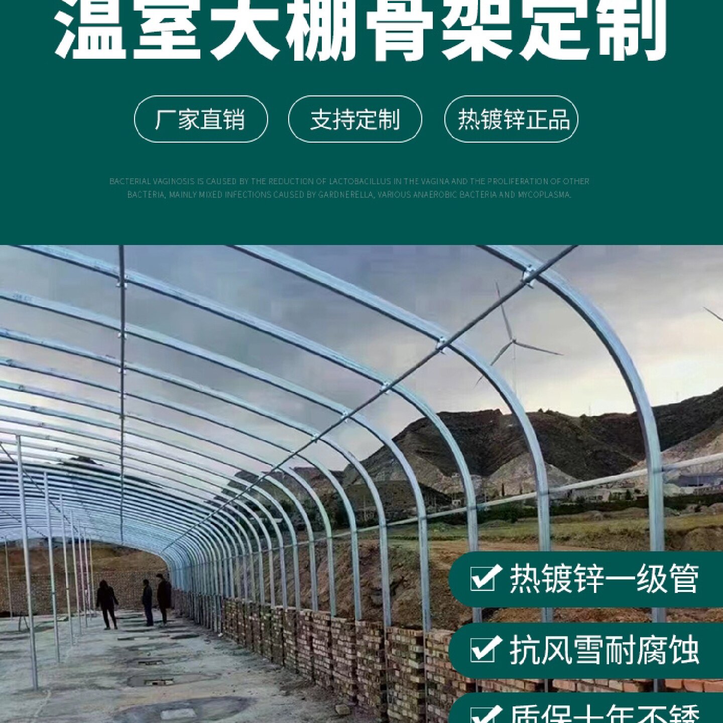 种植温室大棚蔬菜暖棚钢管骨架全套养殖保温猪牛鸡鸭舍简易连栋棚