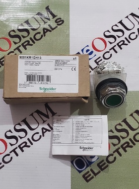 SCHNEIDER9001KR1GH13PUSHBUTTONOPERATOR绿色1NONC免费快速发货