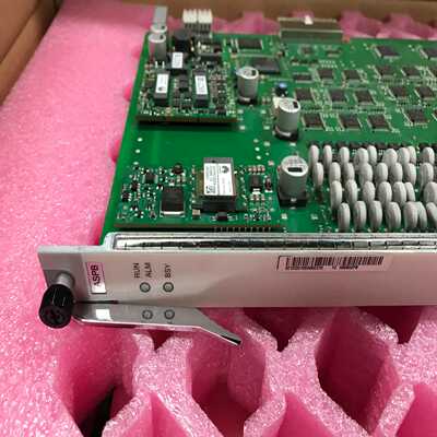 华为LSC TN17LSCT61 03031KBB 100G