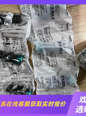 指示灯XB2BVB3LCXB2BVB1LCXB2B拍前询价下单