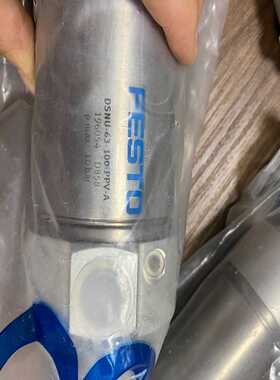 DSNU-63-100-PPV-A196054费斯托气缸D