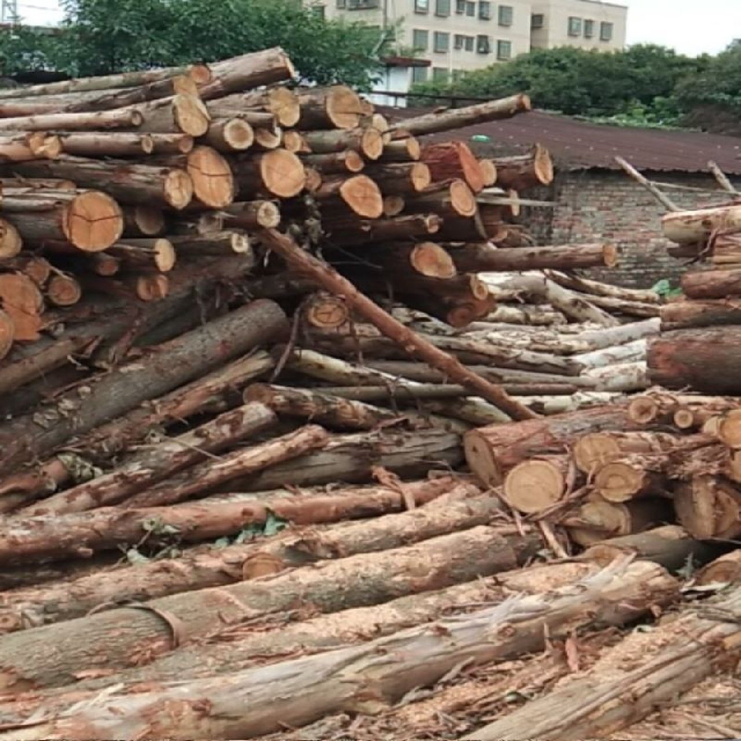 实木叉车托盘仓库物流木头托盘垫仓卡板防潮栈板胶合板免熏蒸出口,包装,木托盘,淘宝优惠券,粉丝福利购,淘宝优惠卷