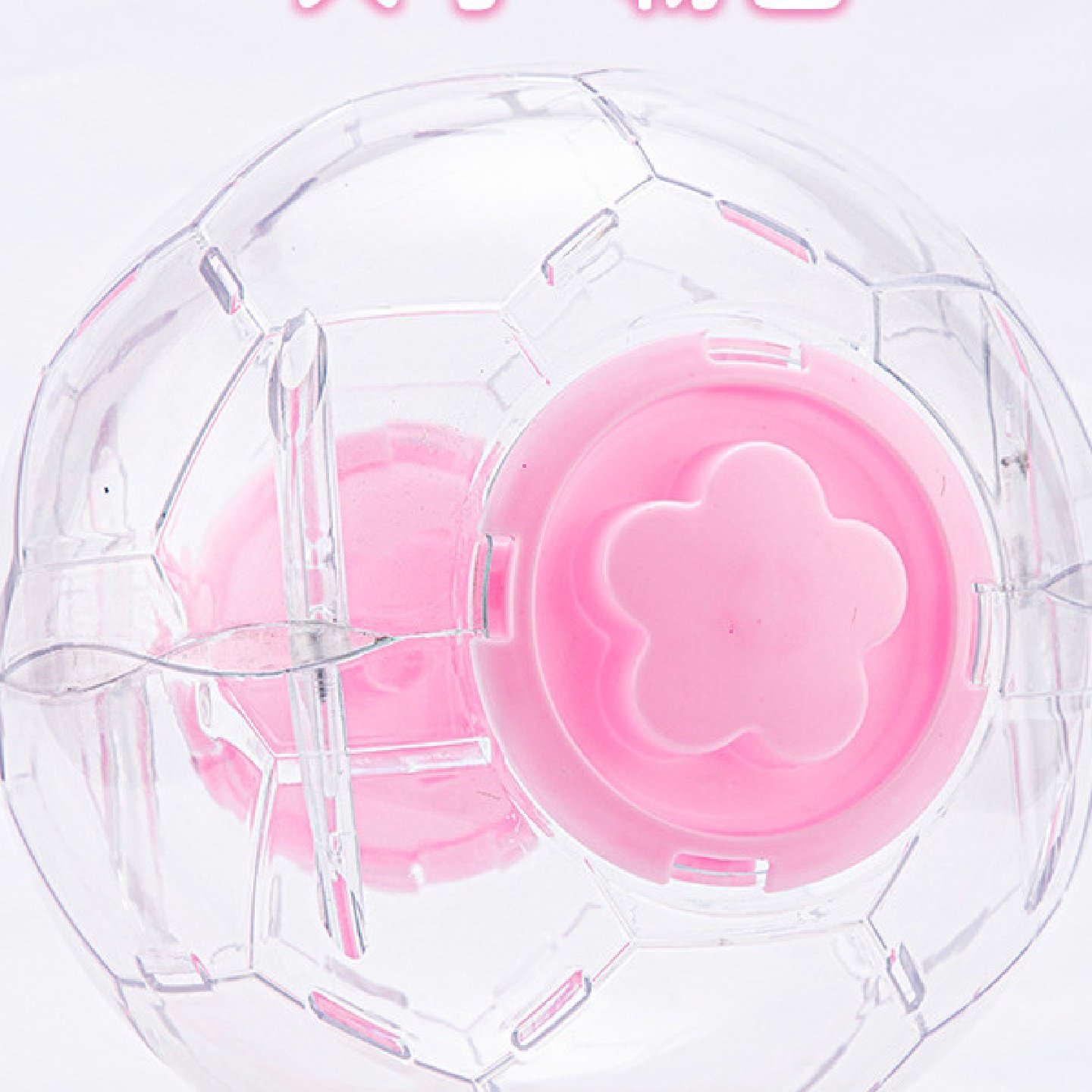 鹦鹉跑球解闷自嗨玩具啃咬鹦鹉小鸟滚动虎皮牡丹太阳防压训练新款,宠物/宠物食品及用品,鸟玩具,淘宝优惠券,粉丝福利购,淘宝优惠卷